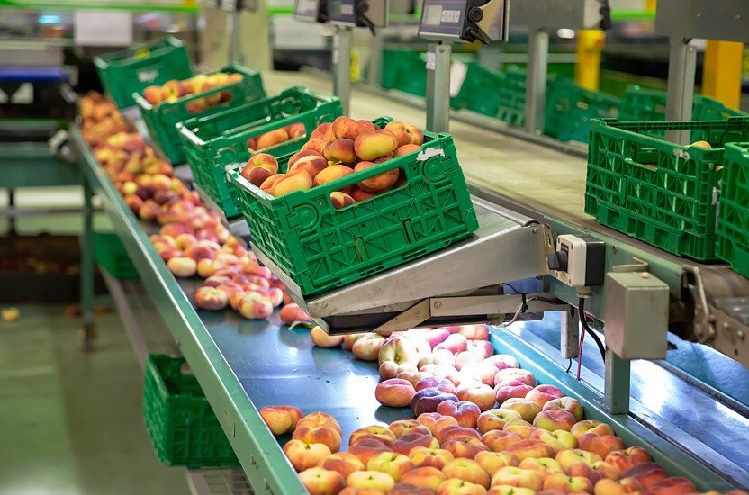 Provision Suppliers