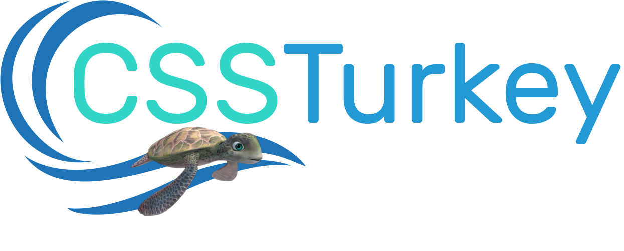 CSSTurkey Ship Supply Repair and Maintenance